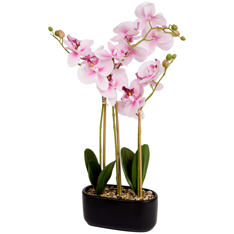 Orchidée artificielle en pot