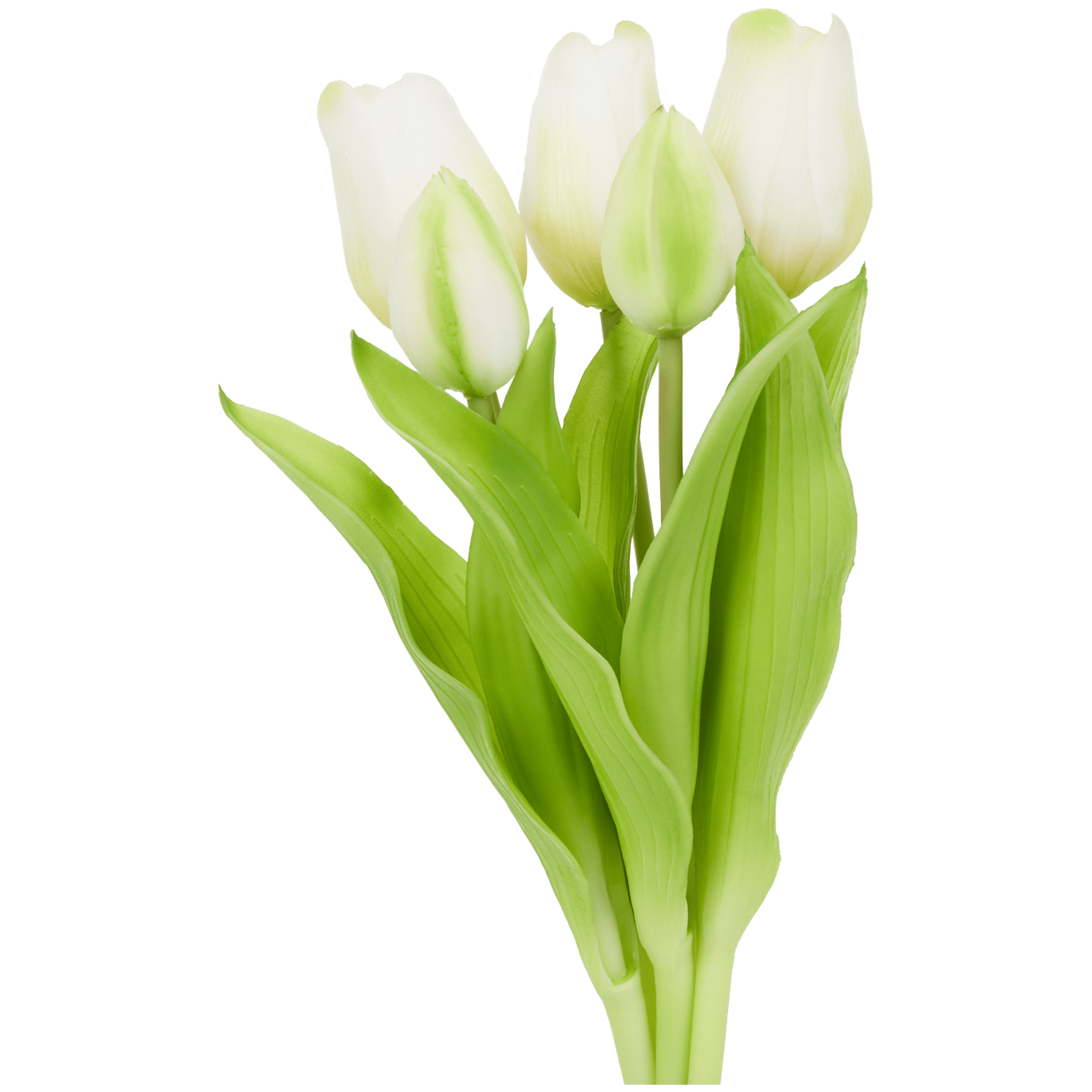 Umelé tulipány Home Accents