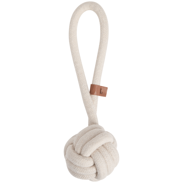 Corde de jeu pour chien