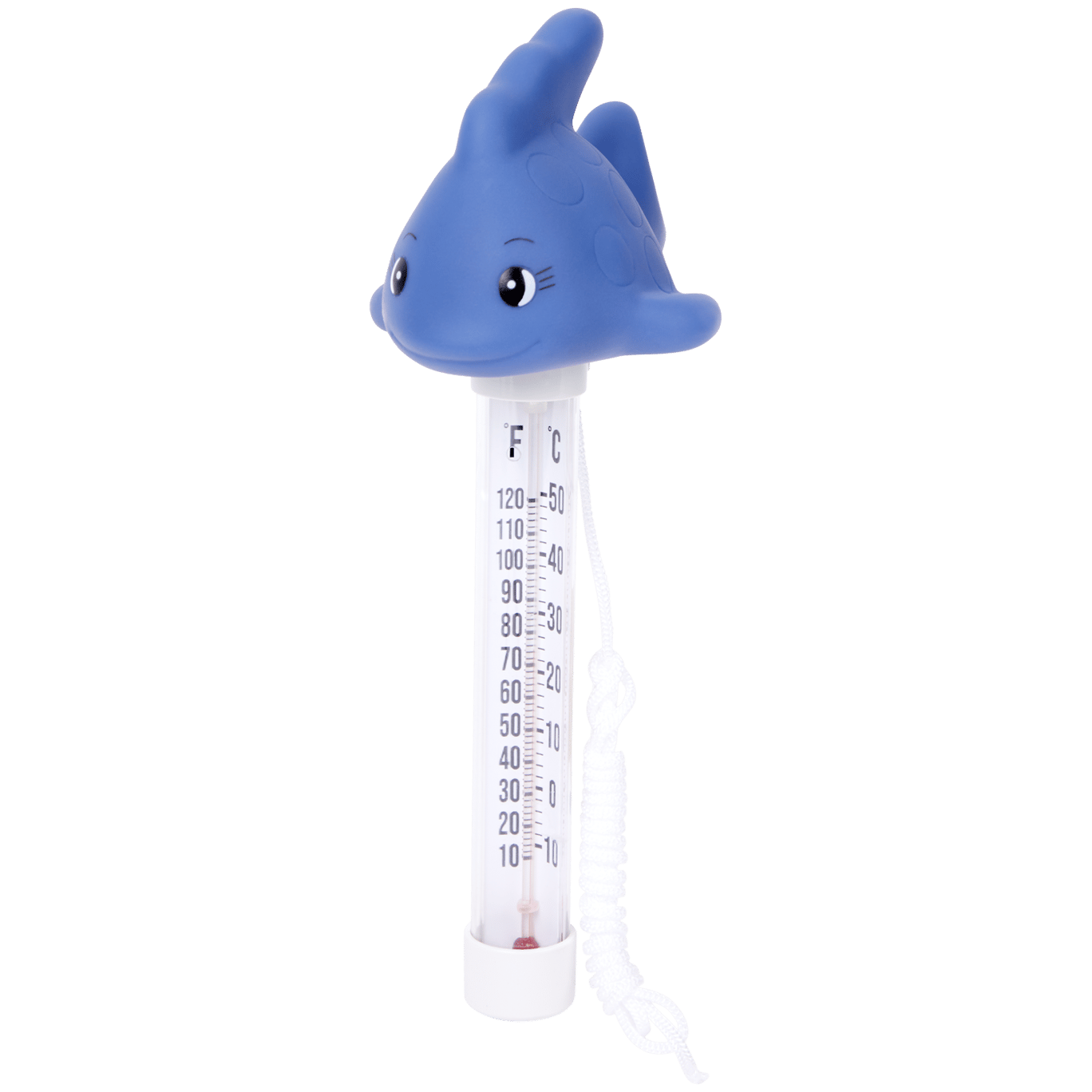 Termometro per acqua