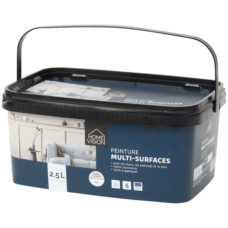 Peinture multi-usages Home Vision Gris