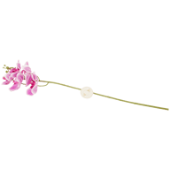 Orchidea finta su stelo