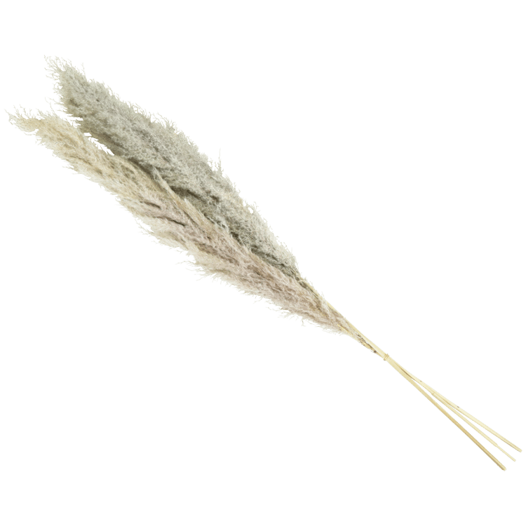 Umělá suchá kytice pampové trávy
