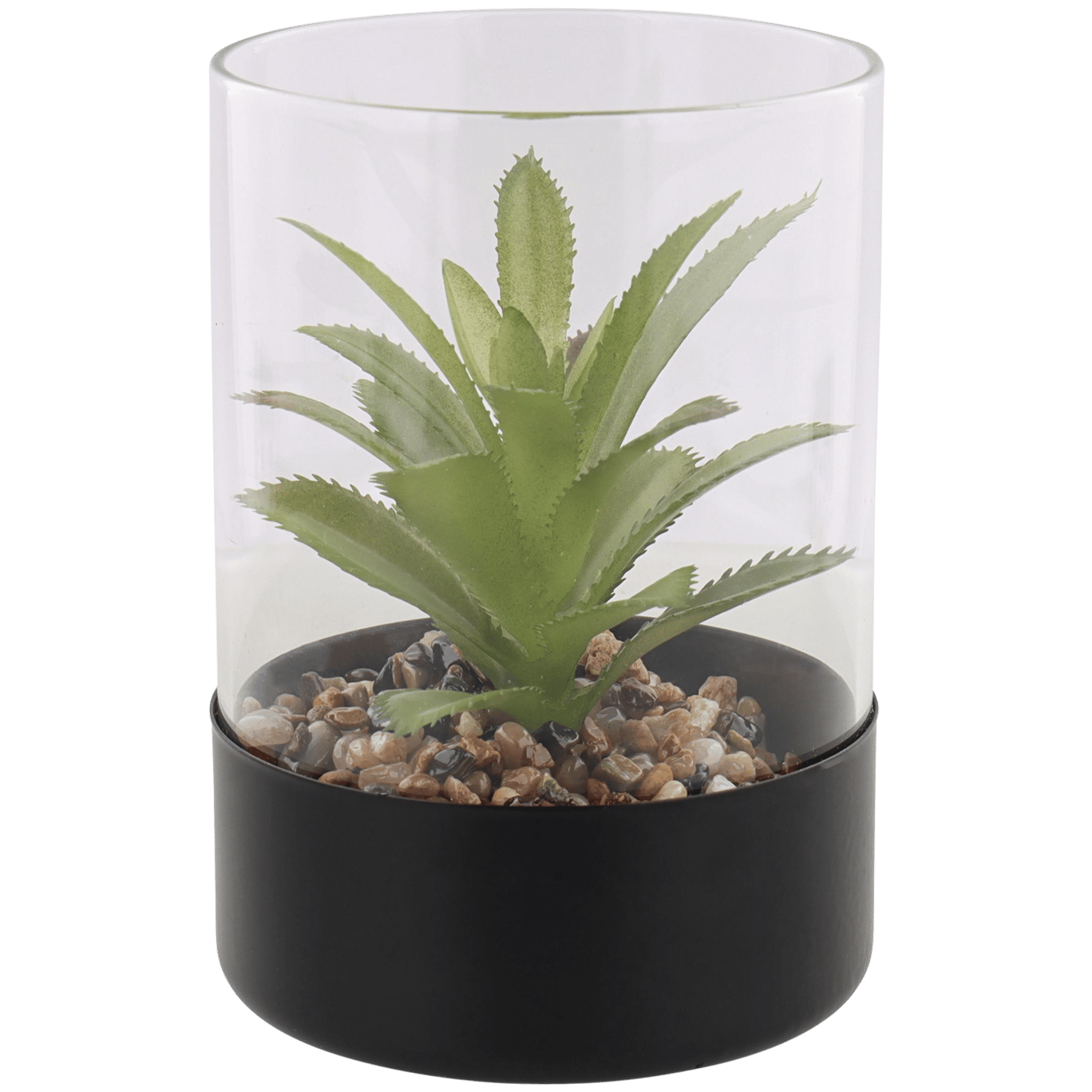 Plante grasse artificielle dans un terrarium