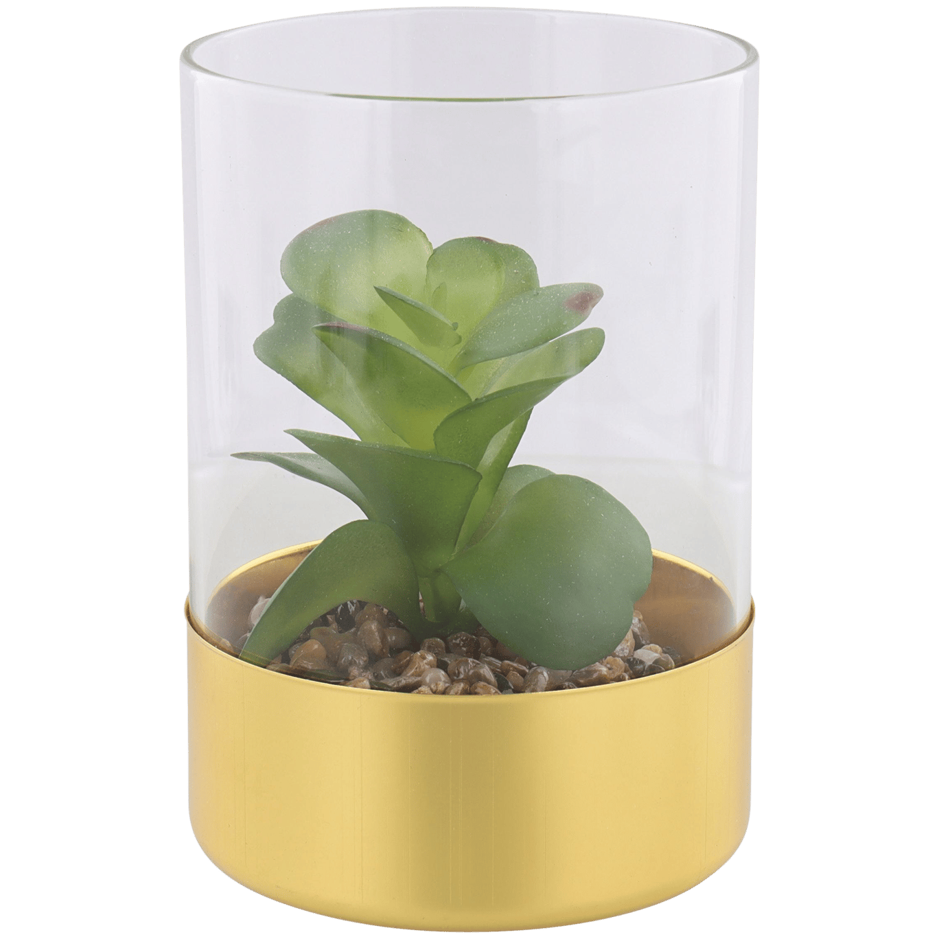 Plante grasse artificielle dans un terrarium