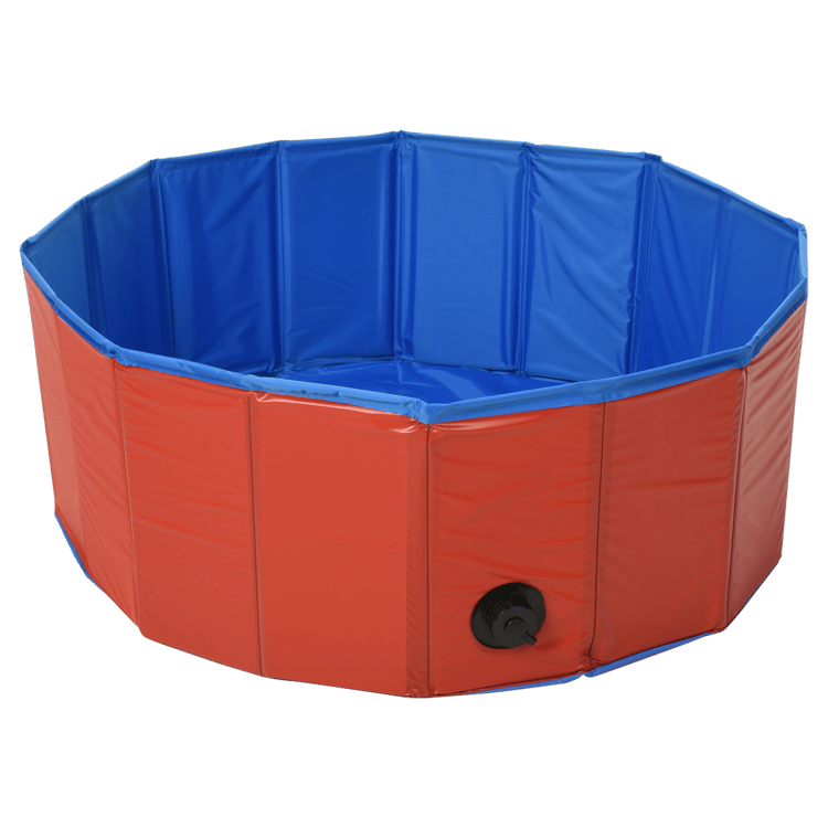 Piscina para cães