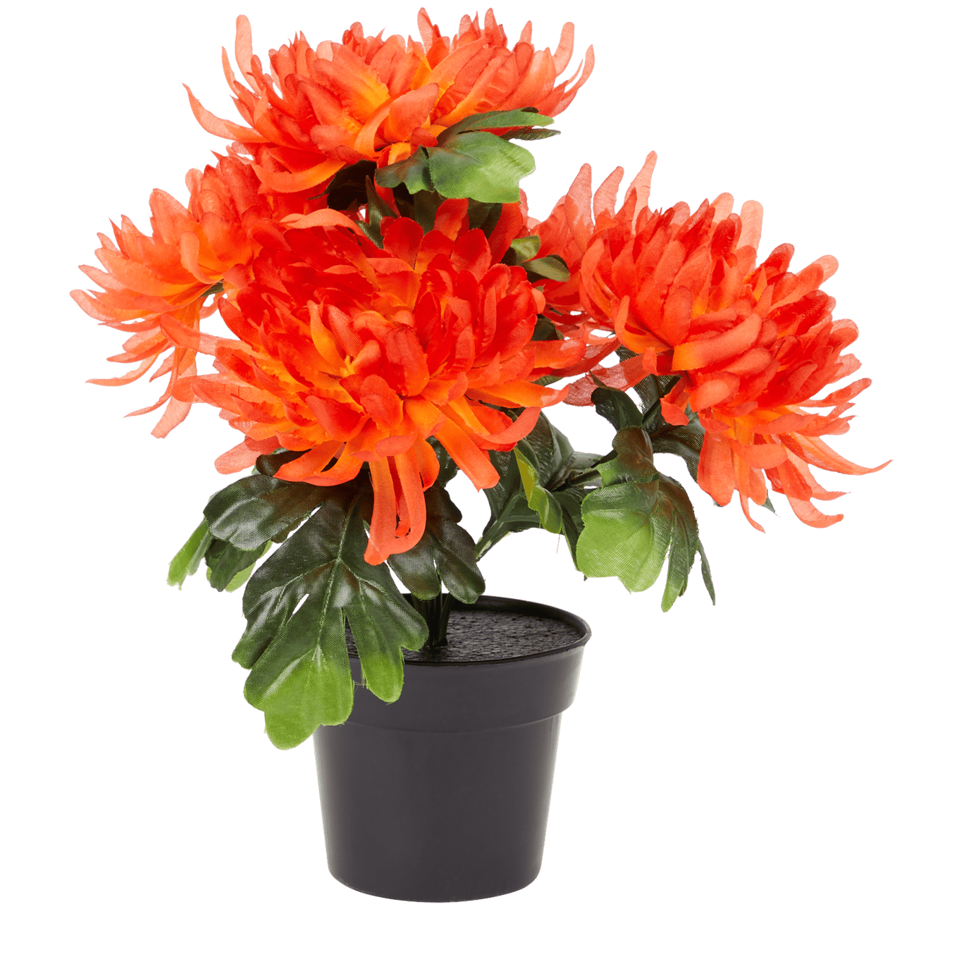 Crisantemi finti in vaso