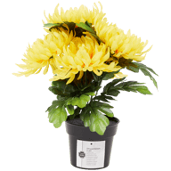 Chrysanthème artificiel en pot