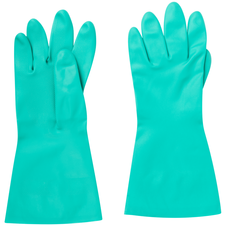 Guantes domésticos CleanRite