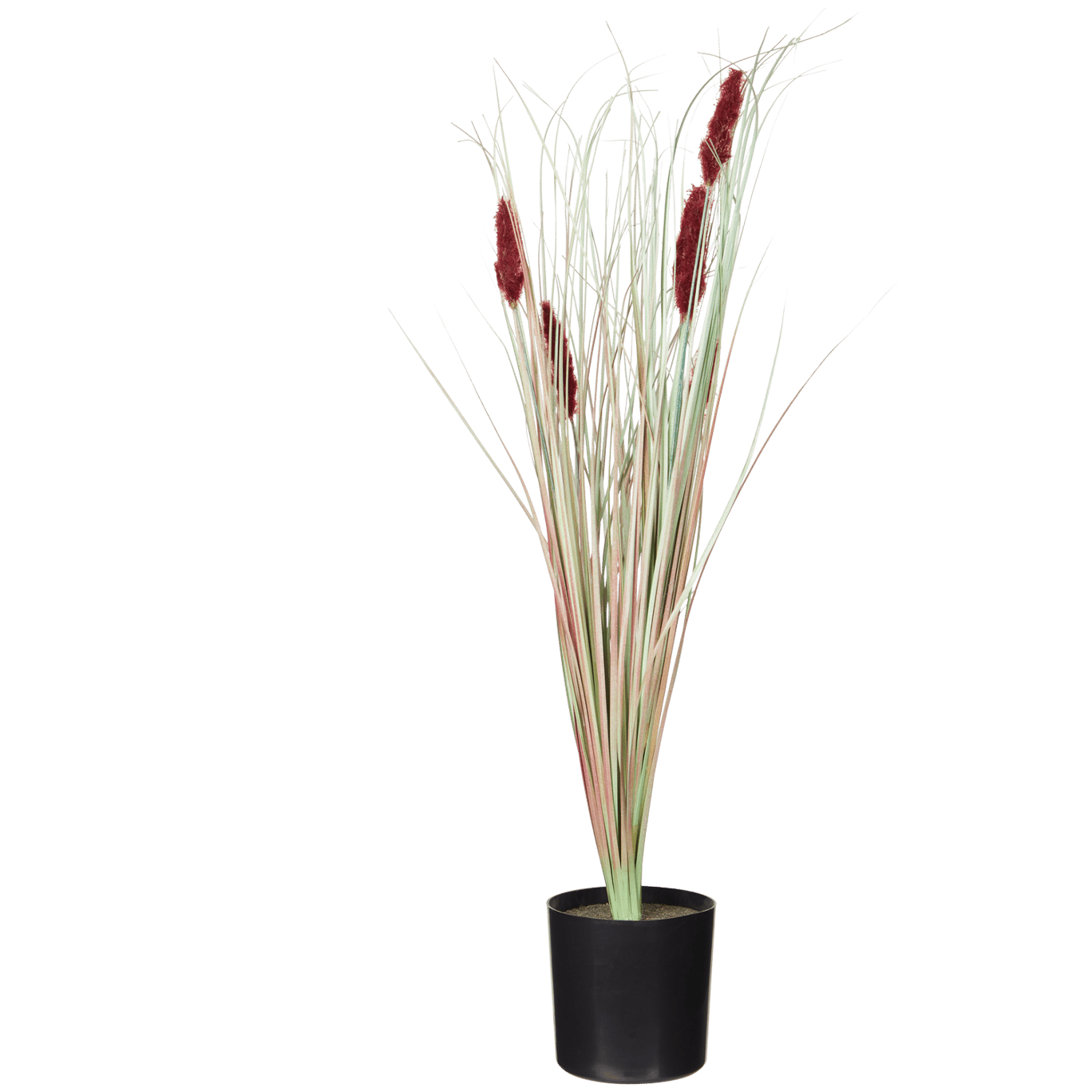 Planta artificial da erva plumas-de-seda em vaso