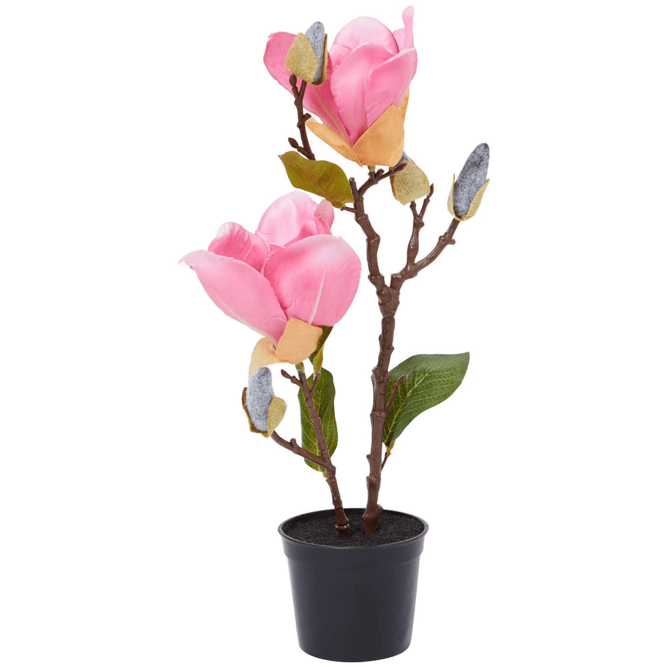 Sztuczna magnolia w doniczce