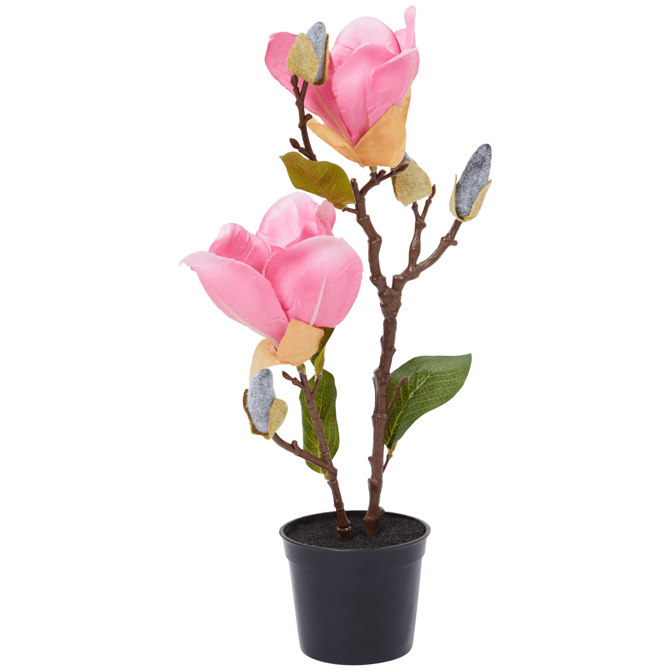 Kunstmagnolia in pot