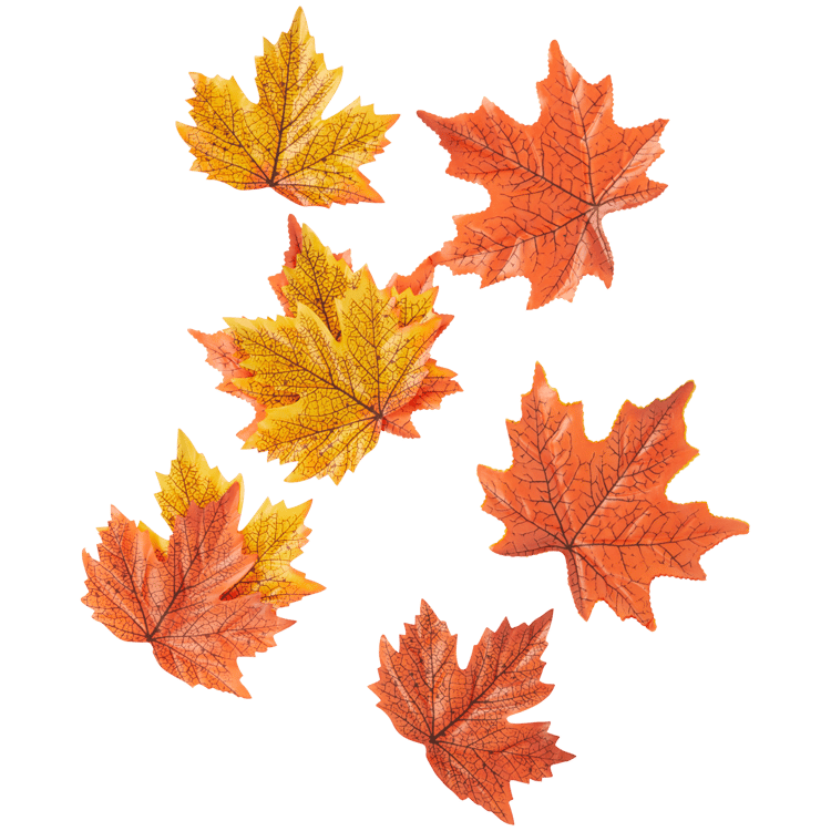 Folhas de outono