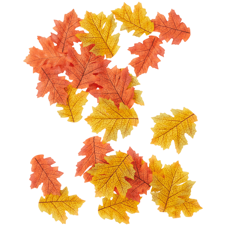 Folhas de outono