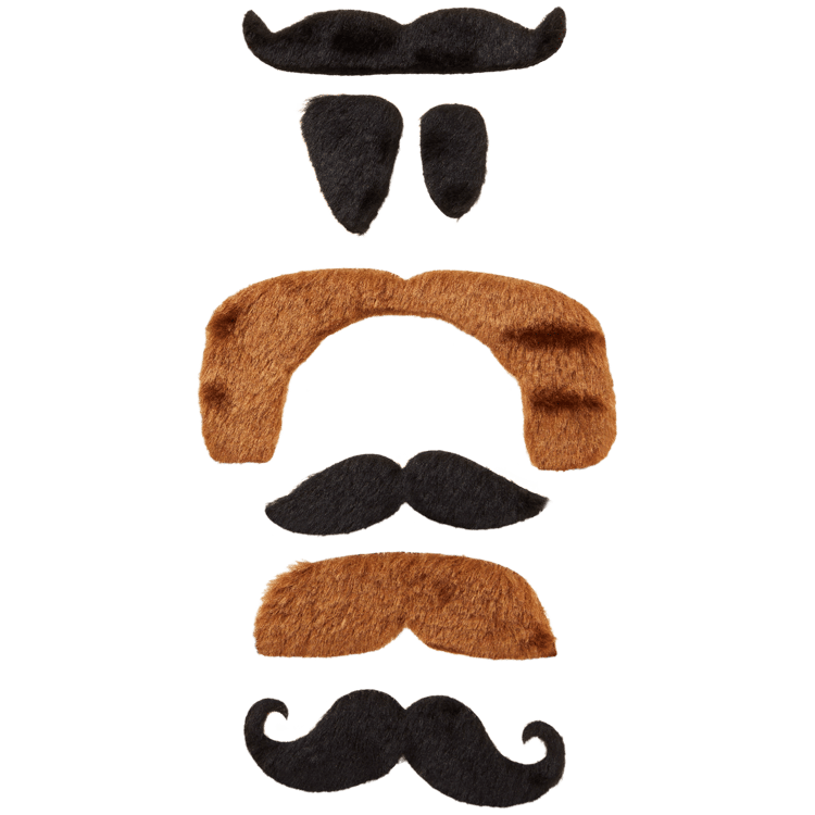 Fausses moustaches
