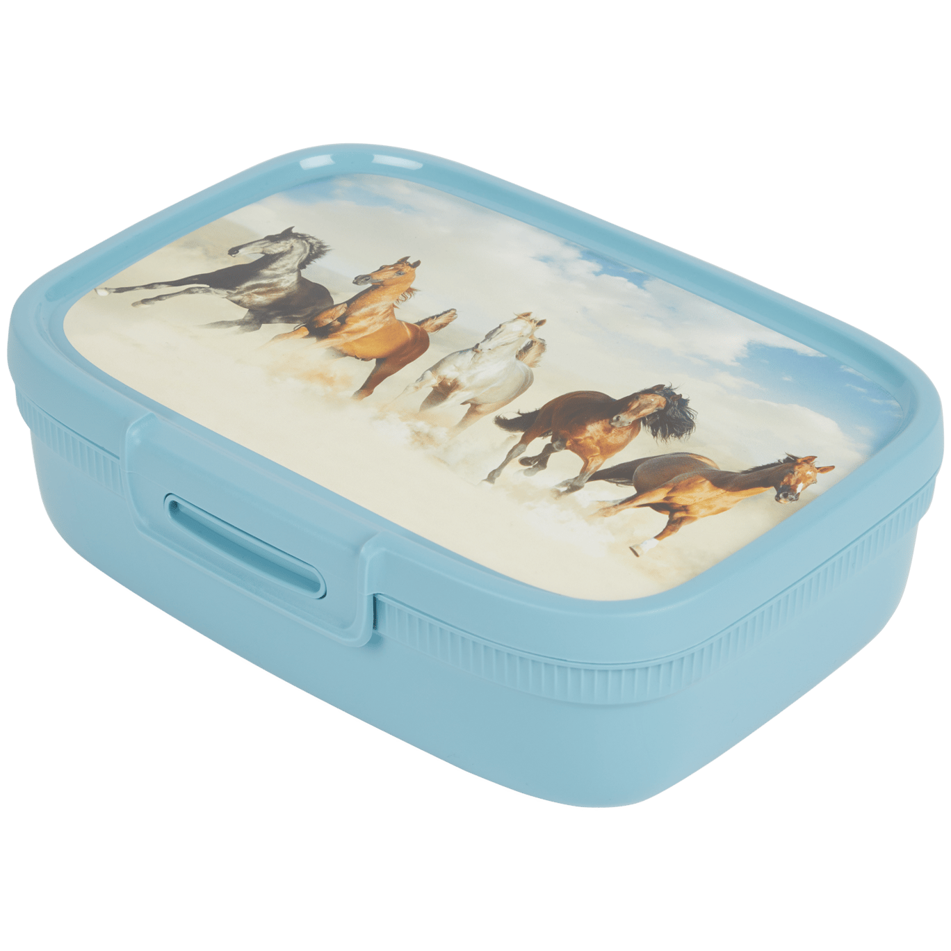 Lunchbox con stampa Curver