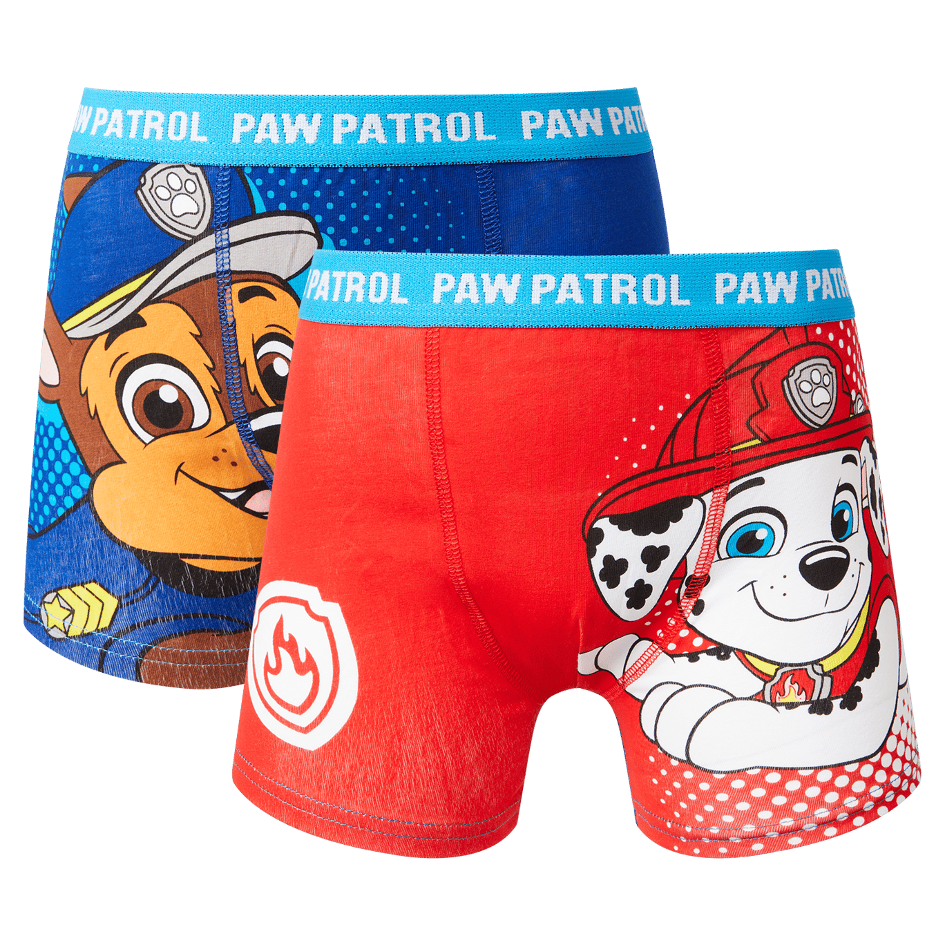 Boxer Paw Patrol