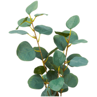 Eucalyptus artificiel sur tige