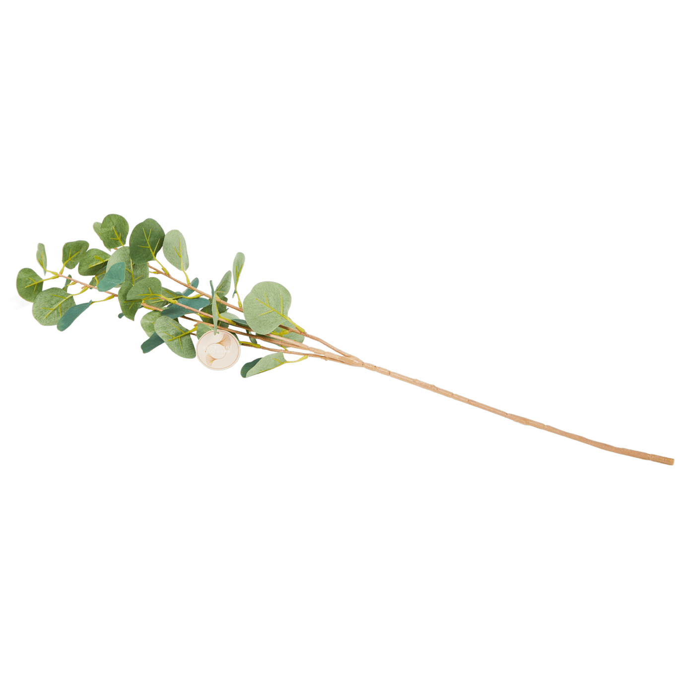 Sztuczny eukaliptus na łodydze