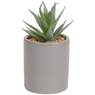 Kunst vetplant in pot