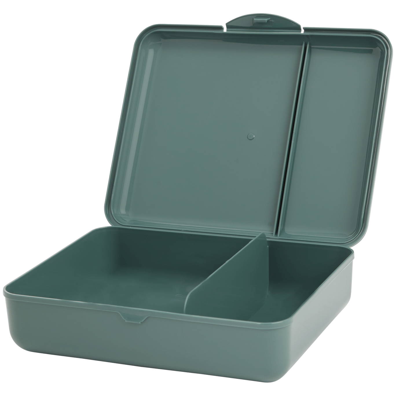 Lunchbox met vakken