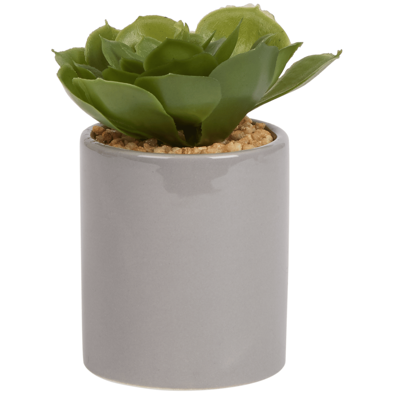 Plante grasse artificielle en pot