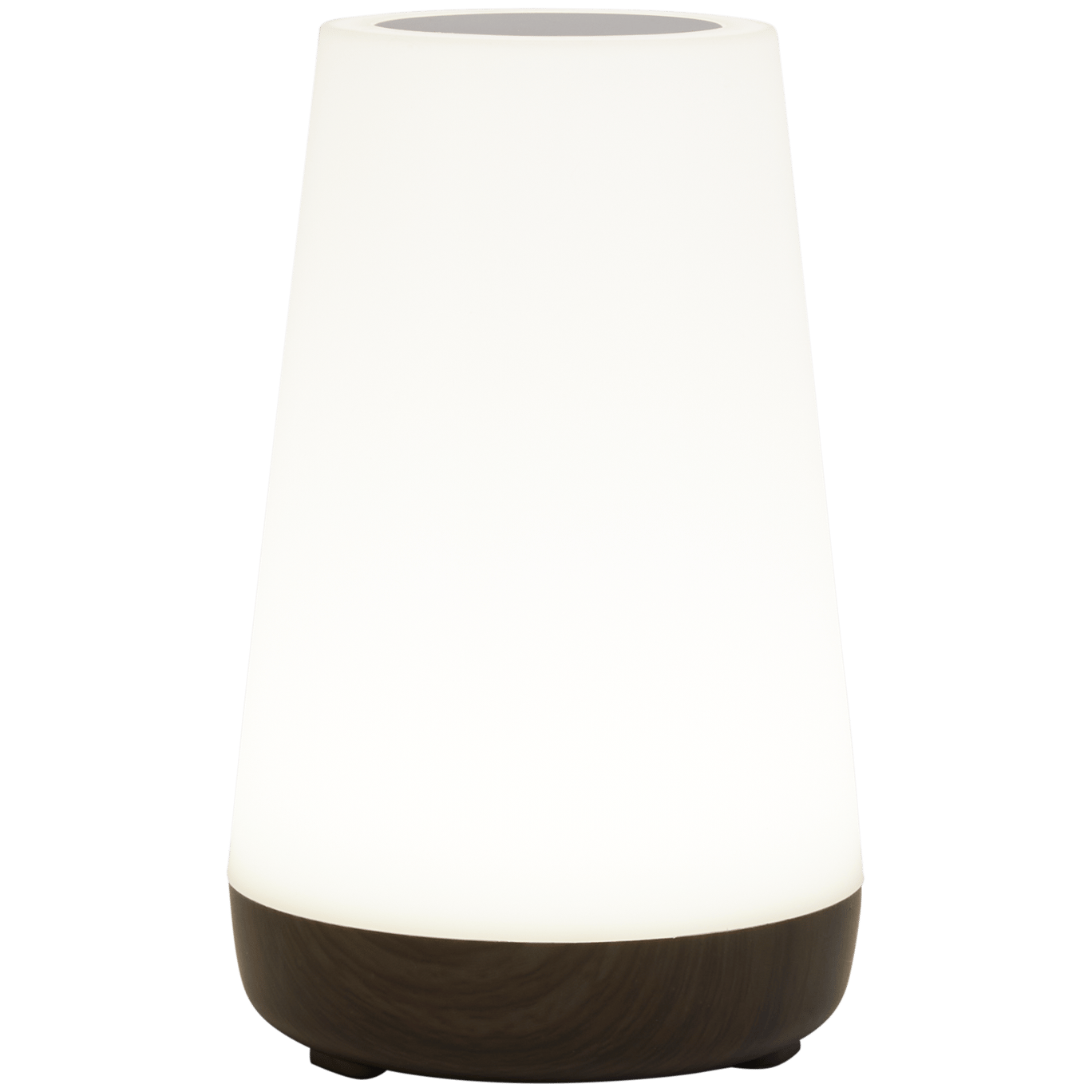 Deluxa touch lamp
