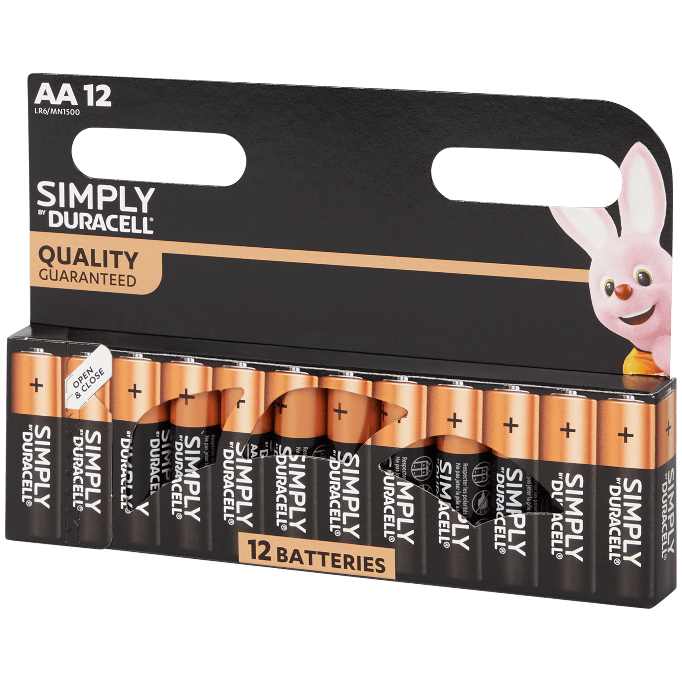 Duracell AA Action.com
