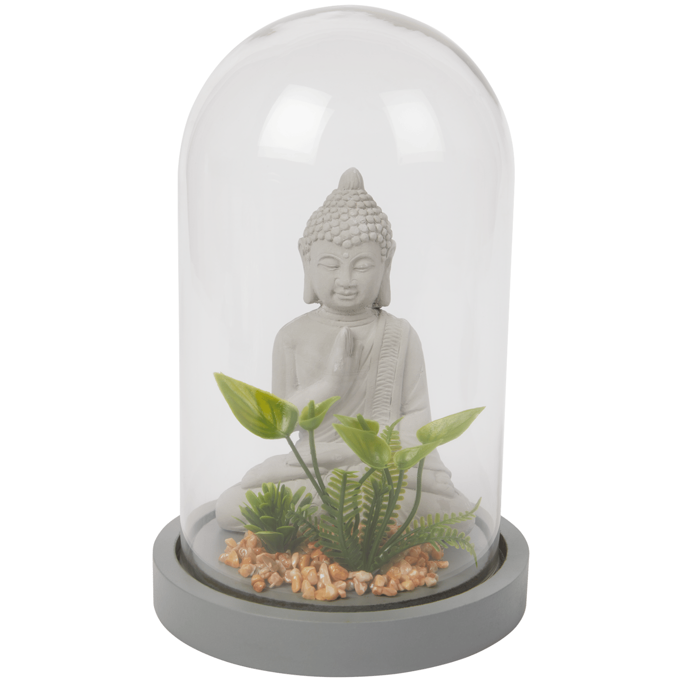 Buddha unter Glasglocke