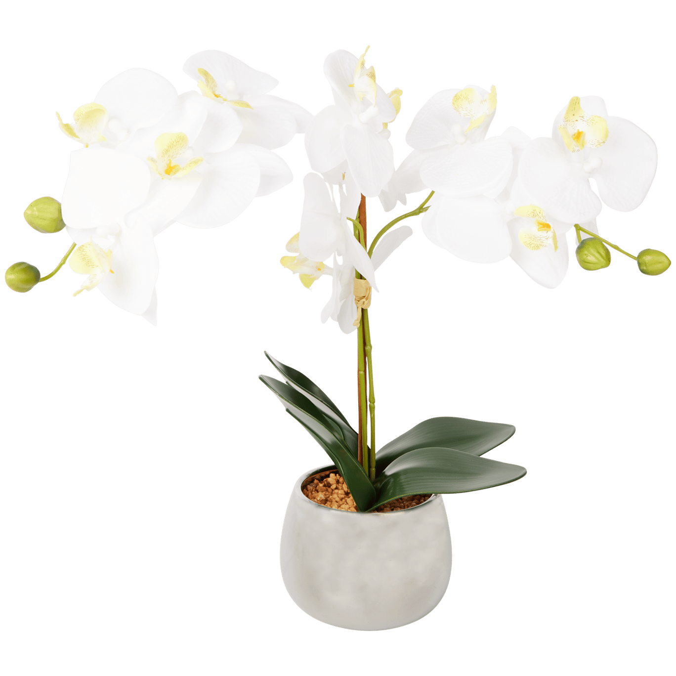 Orchidée artificielle en pot | Action.com