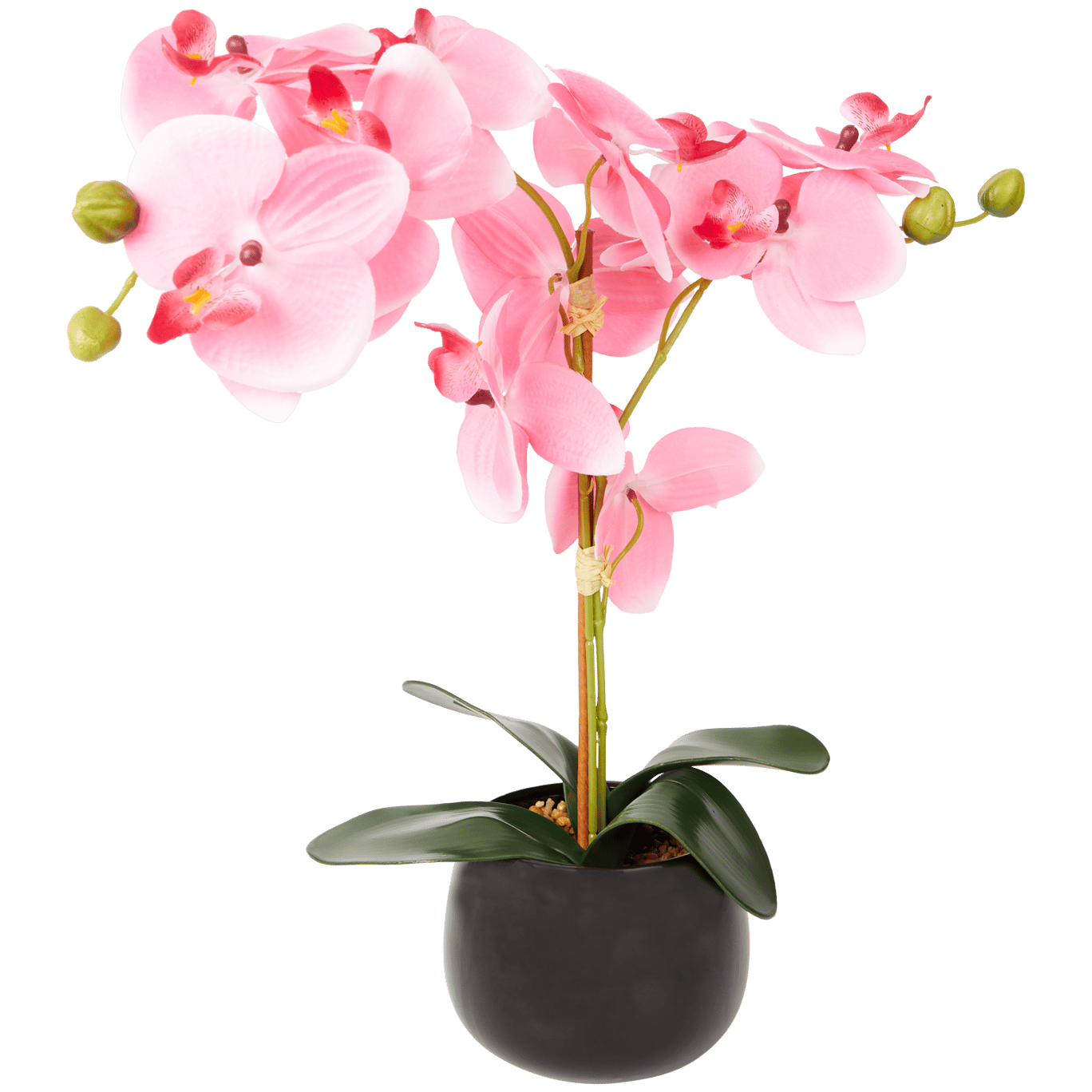 Orchidée artificielle en pot | Action.com