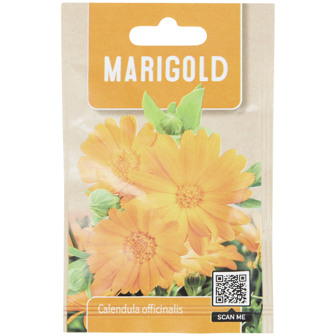 Sachet de graines de fleurs