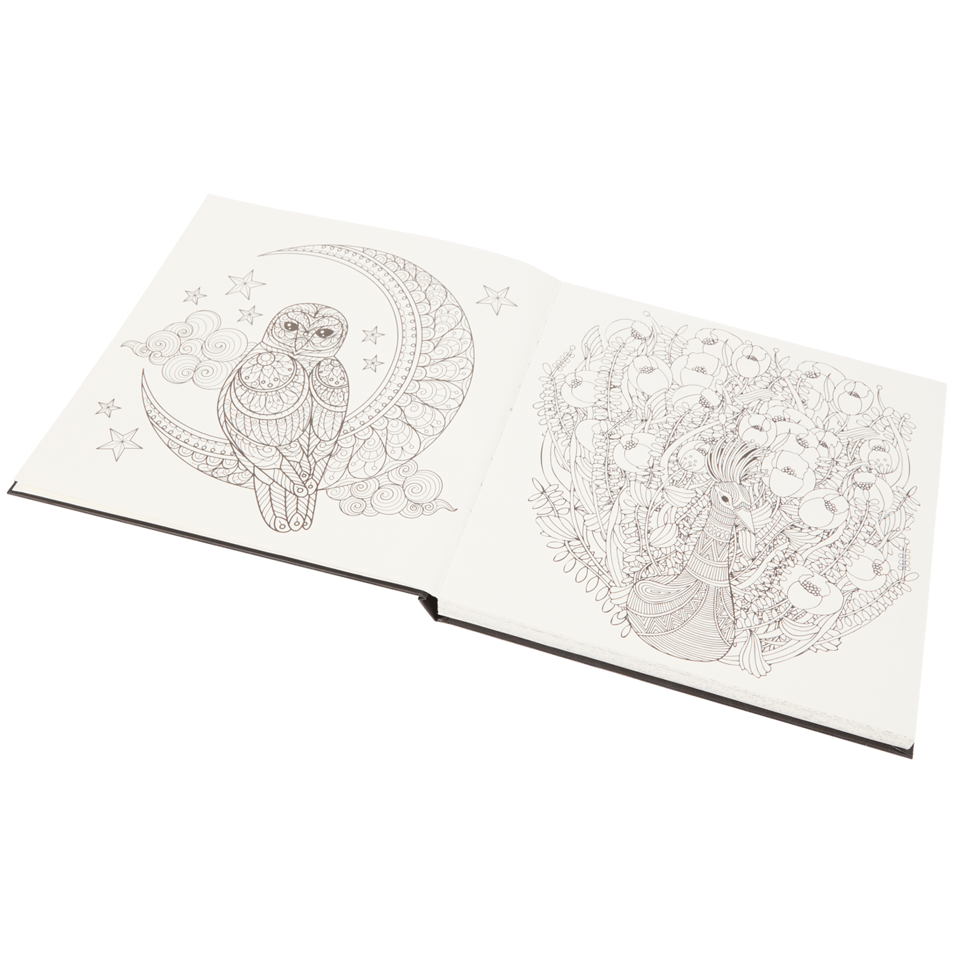 Craft Sensations Livre de coloriage Luxe avec Glitter