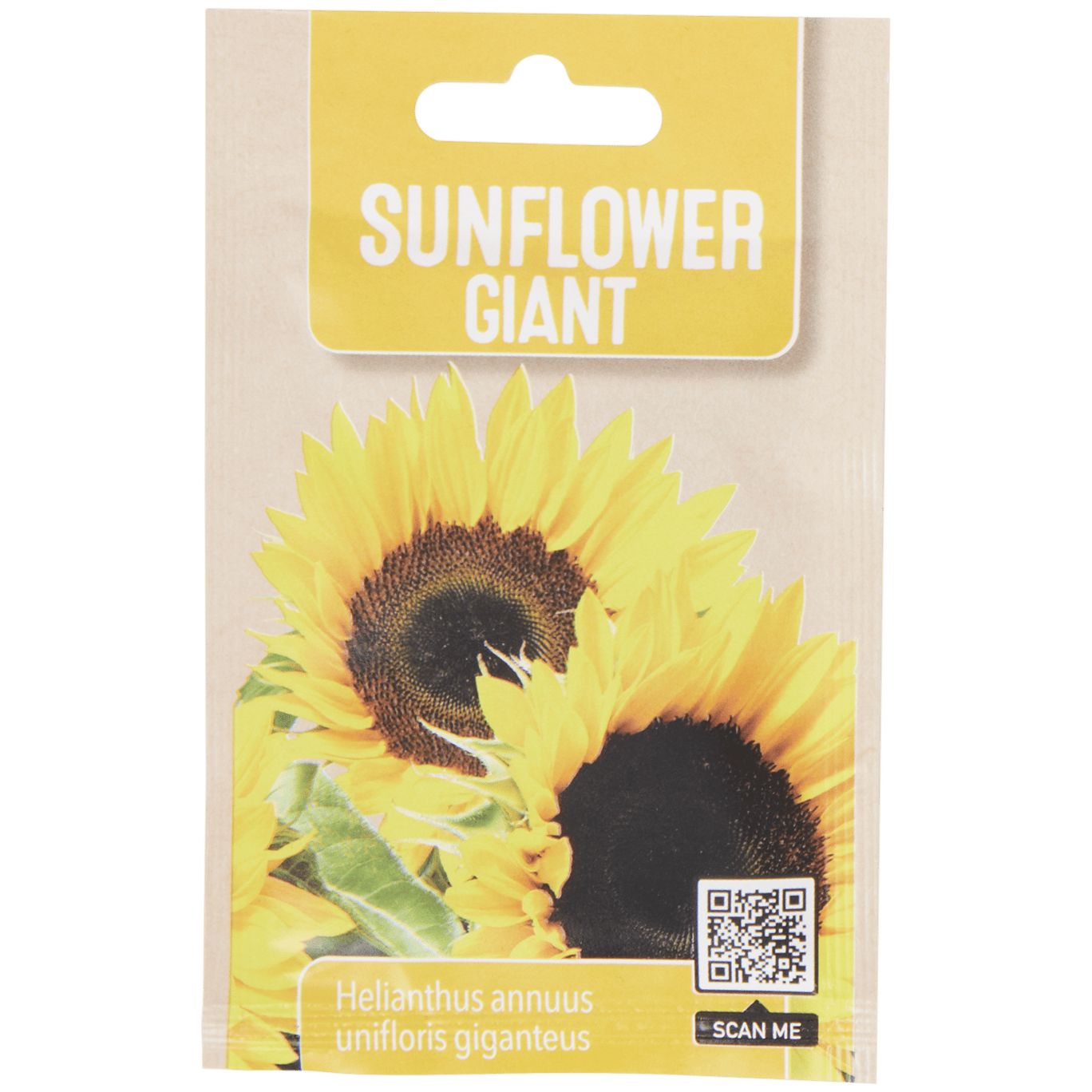 Sachet de graines de fleurs