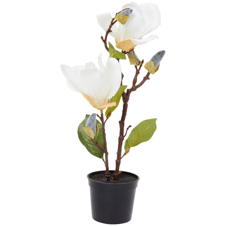 Magnolia artificial en maceta