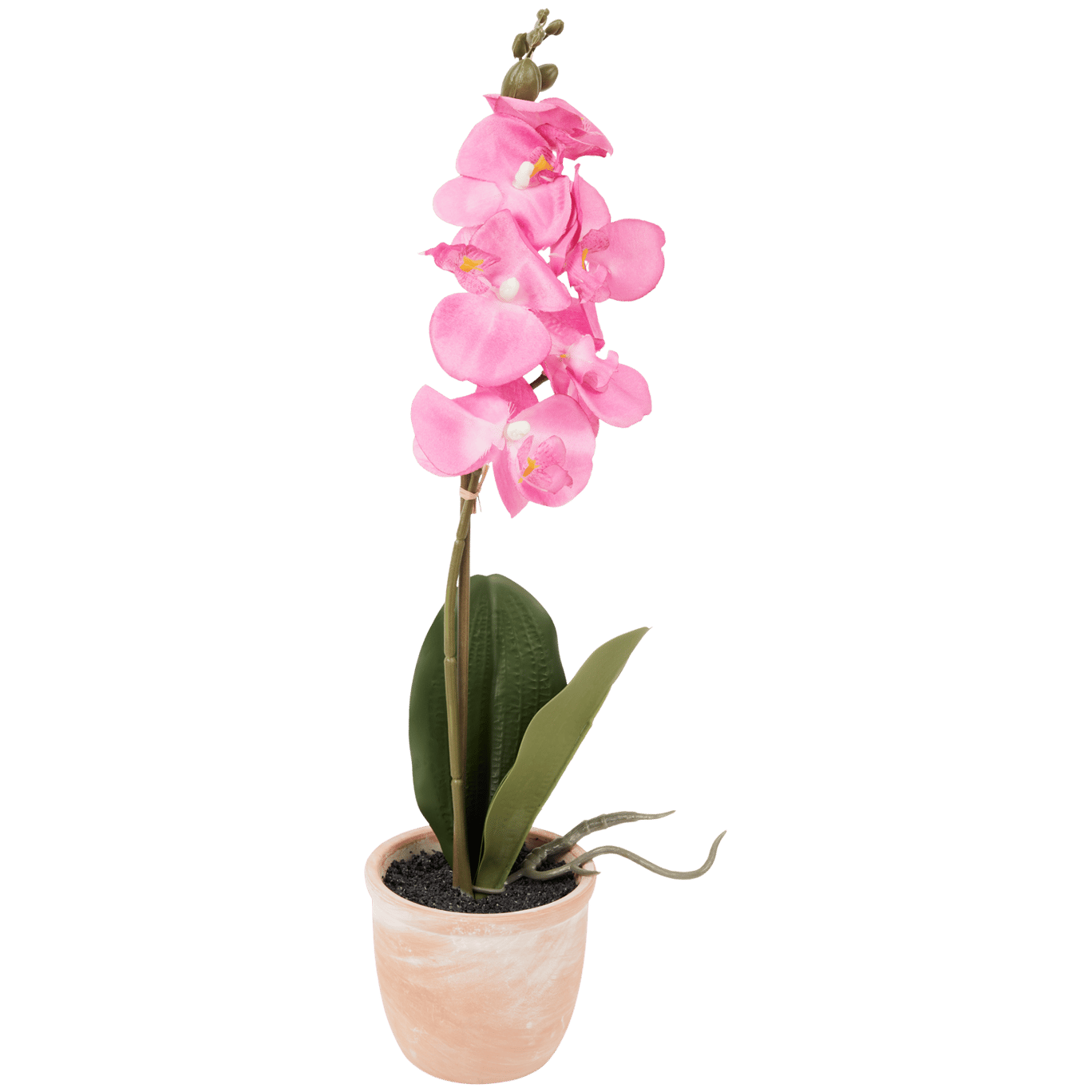 Orchidée artificielle en pot