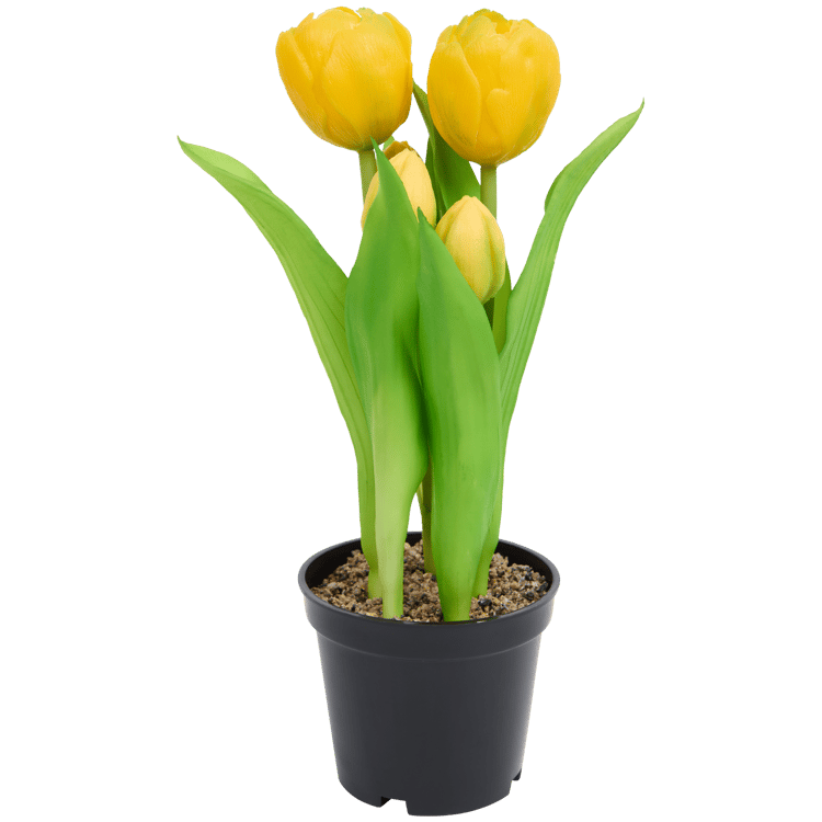 Tulipas artificiais em vaso Home Accents