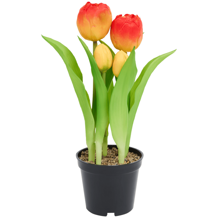 Tulipas artificiais em vaso Home Accents