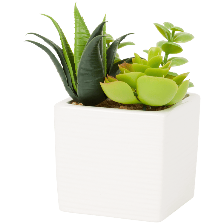 Plante grasse artificielle en pot