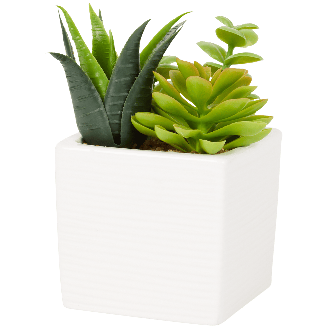 Plante grasse artificielle en pot