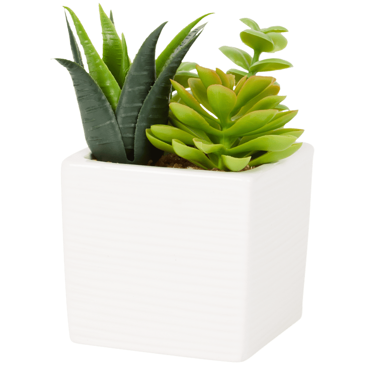 Plante grasse artificielle en pot