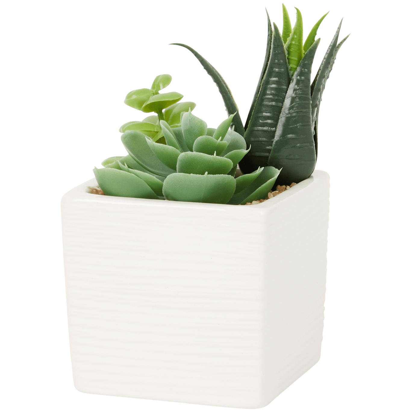 Plante grasse artificielle en pot