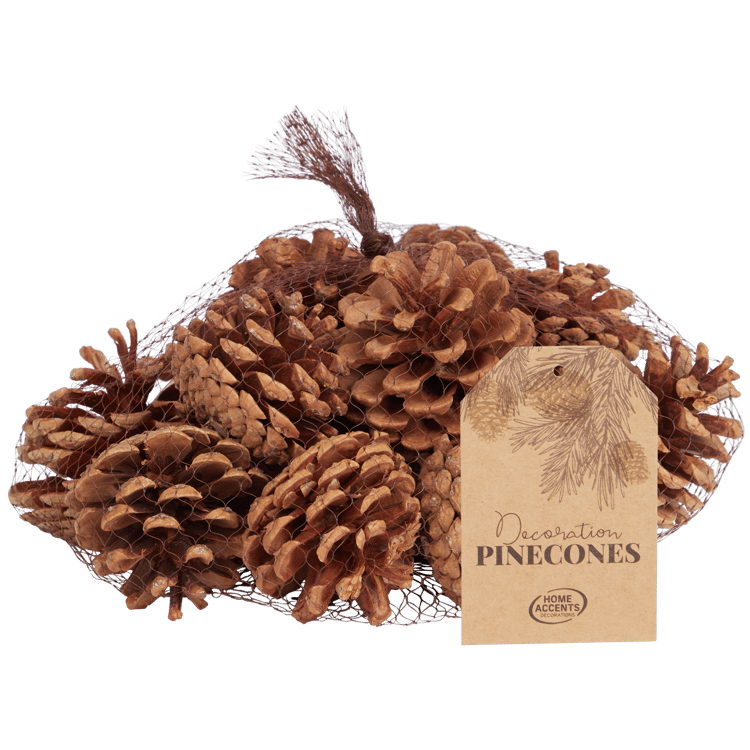 Pigne decorative Home Accents