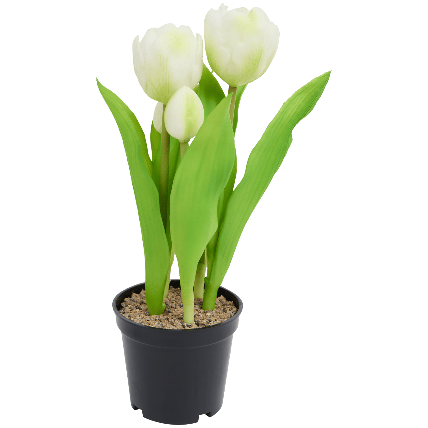 Tulipas artificiais em vaso Home Accents