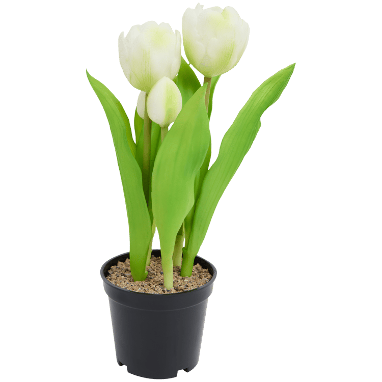 Tulipas artificiais em vaso Home Accents