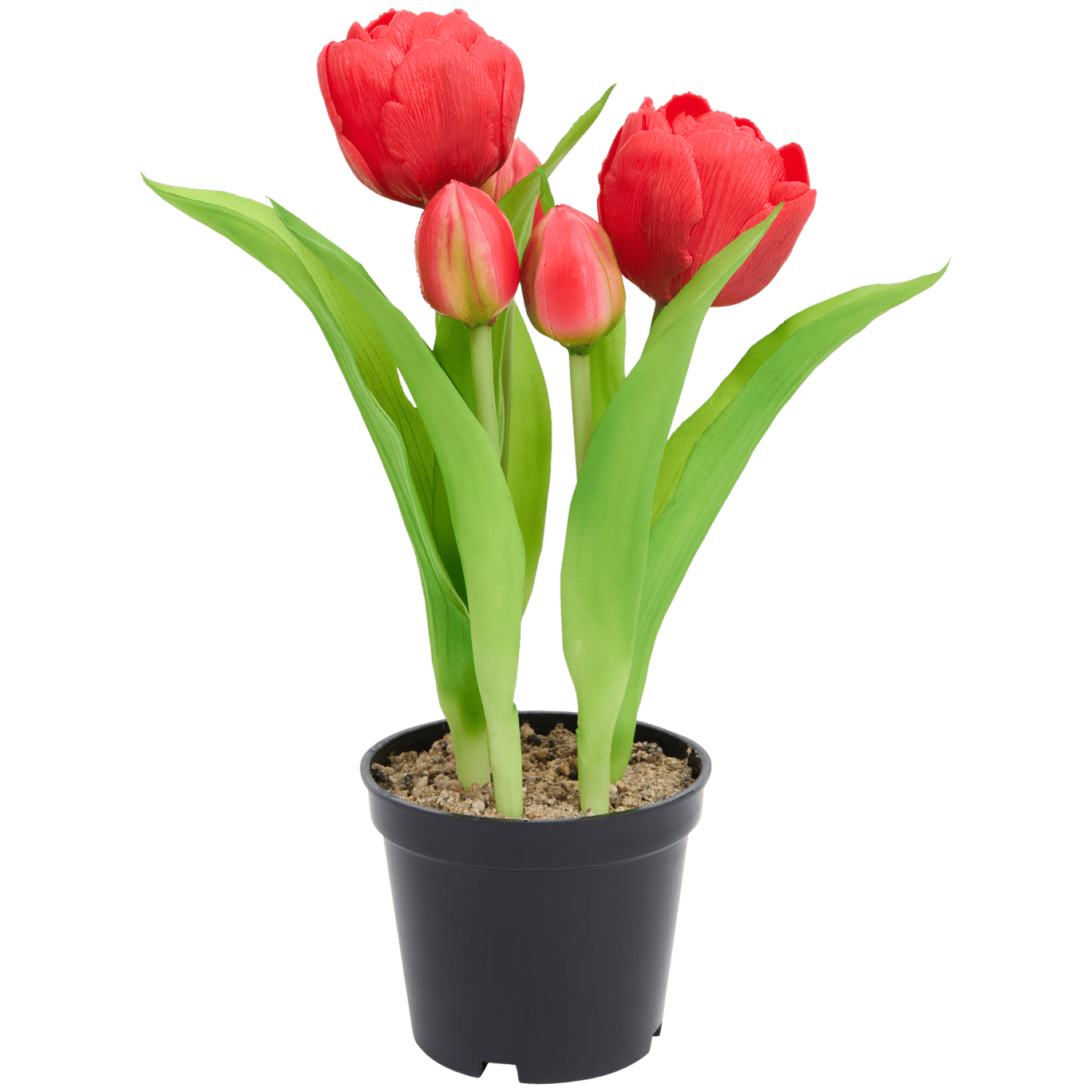 Tulipas artificiais em vaso Home Accents