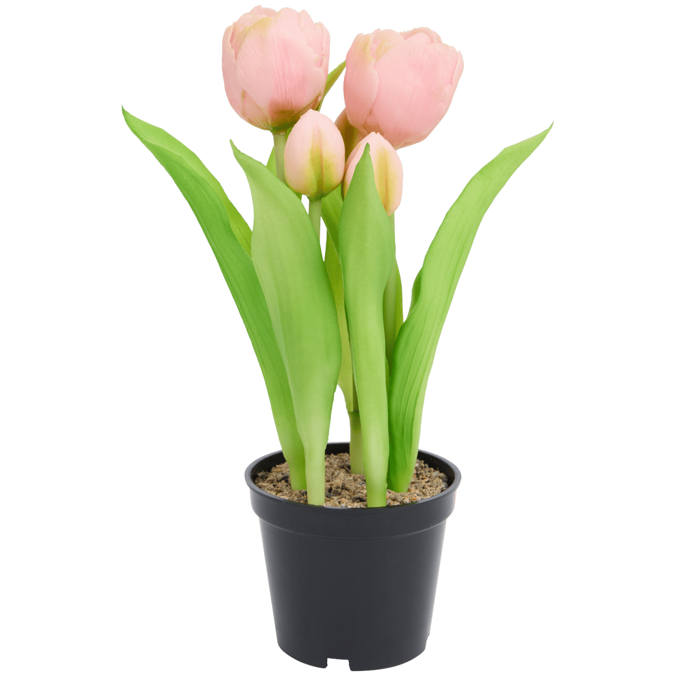 Tulipas artificiais em vaso Home Accents