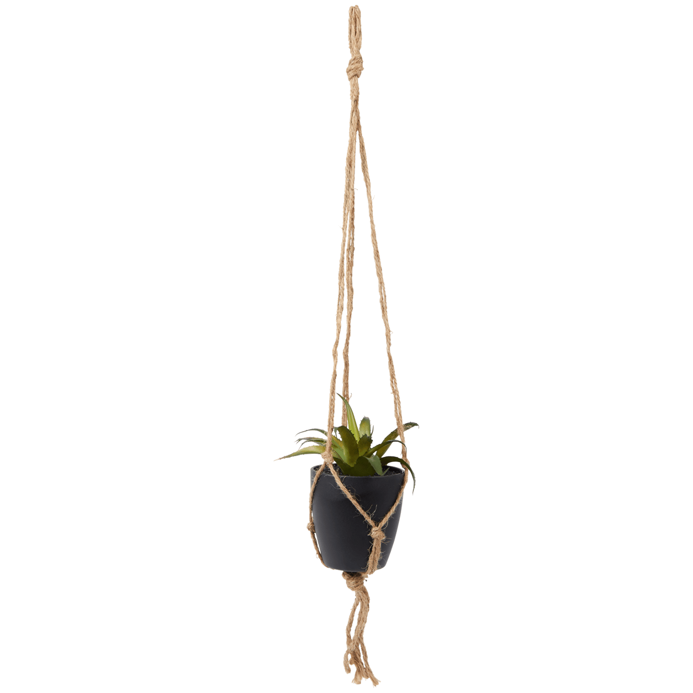 Plante grasse artificielle dans un pot suspendu