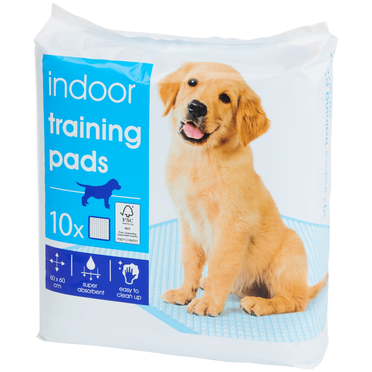 Resguardos de treino para cães