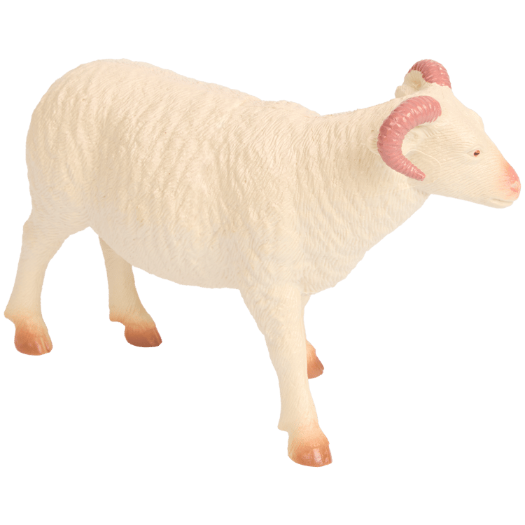 Animal de la ferme